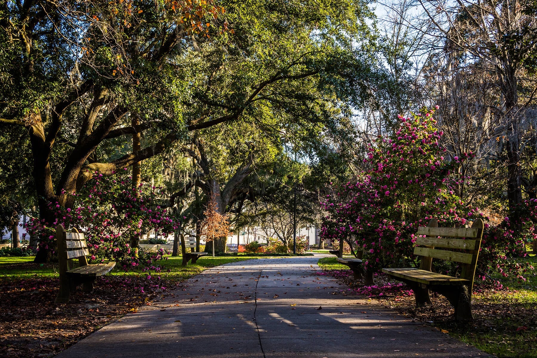 Savannah, Georgia AC Southeast Savannah, Georgia