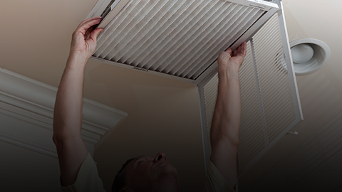 Indoor Air Quality Services Indoor Air Quality Services